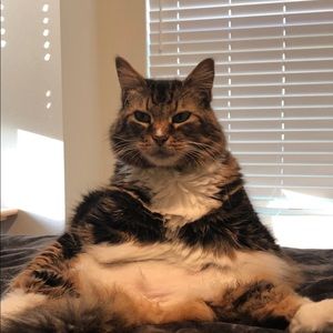 Meet your Posher, Mami